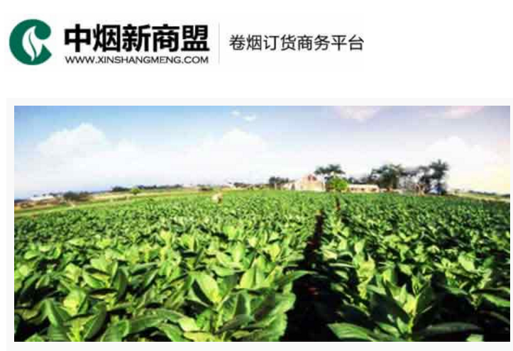 中烟新商盟卷烟订货商务平台-尊彩网彩票app